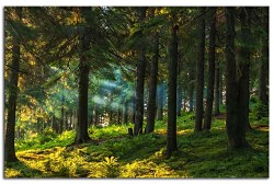 Obraz na stenu ZS - bez pomeru strán